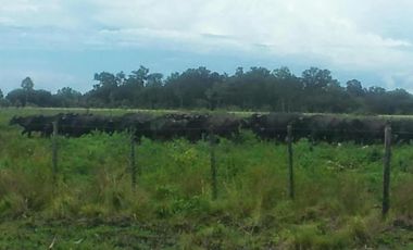 Campo en venta - 230Mts2 - Formosa