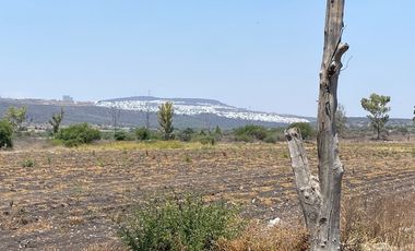 RANCHO AGRÍCOLA EN VENTA EN EL MARQUÉS QUERETARO