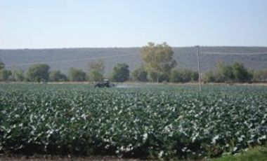 RANCHO AGRÍCOLA EN VENTA EN EL MARQUÉS QUERETARO