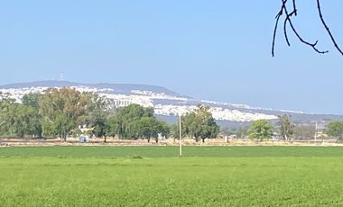 RANCHO AGRÍCOLA EN VENTA EN EL MARQUÉS QUERETARO