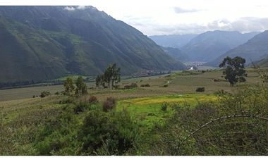VENDO TERRENO DE 3672 M2 VALLE SAGRADO DE LOS INCAS TARAY CUSCO PERÚ