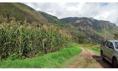 VENDO TERRENO DE 3672 M2 VALLE SAGRADO DE LOS INCAS TARAY CUSCO PERÚ