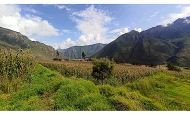 VENDO TERRENO DE 3672 M2 VALLE SAGRADO DE LOS INCAS TARAY CUSCO PERÚ