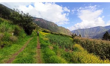VENDO TERRENO DE 3672 M2 VALLE SAGRADO DE LOS INCAS TARAY CUSCO PERÚ