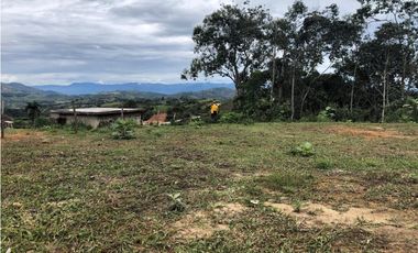 VENTA DE LOTES EN LA VEREDA LA MARQUESA DE YOLOMBO.