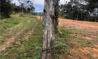 VENTA DE LOTES EN LA VEREDA LA MARQUESA DE YOLOMBO.
