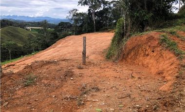 VENTA DE LOTES EN LA VEREDA LA MARQUESA DE YOLOMBO.