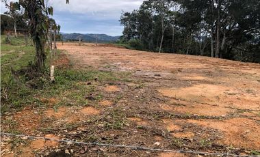 VENTA DE LOTES EN LA VEREDA LA MARQUESA DE YOLOMBO.