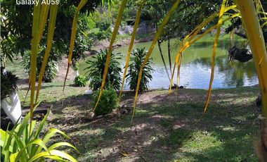 GIA. 234 FINCA LA MESA SAN JOAQUIN