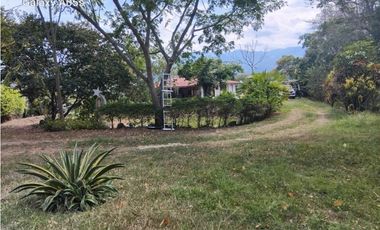 GIA. 234 FINCA LA MESA SAN JOAQUIN