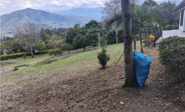 GIA. 234 FINCA LA MESA SAN JOAQUIN