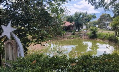 GIA. 234 FINCA LA MESA SAN JOAQUIN