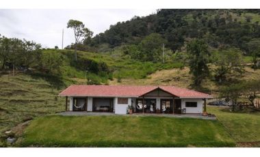 VENTA FINCA TARSO, SUROESTE ANTIOQUEÑO UC