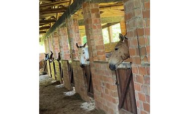 VENTA FINCA TARSO, SUROESTE ANTIOQUEÑO UC