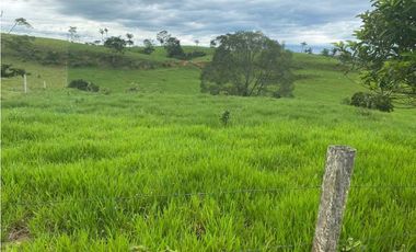 Vendo hacienda hotel en los llanos 120 h villavicencio
