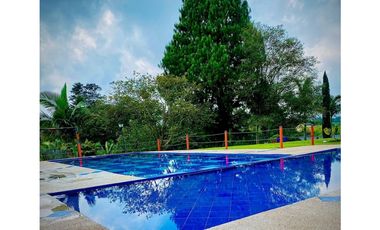 SE ALQUILA FINCA POR DAS EN FILANDIA ,QUINDIO