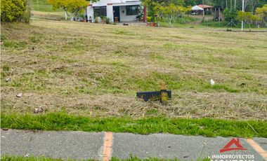 Lote en Brisamar, Viterbo