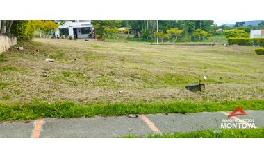 Lote en Brisamar, Viterbo