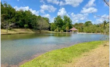 VENDO TERRENO EN LA CHORRERA BRISAS DEL LOS LAGOS 1.636MTS