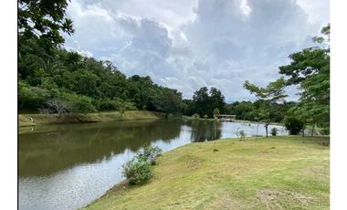 VENDO TERRENO EN LA CHORRERA BRISAS DEL LOS LAGOS 1.636MTS