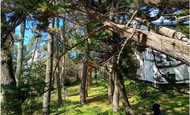 Hotel Playa villa gesell