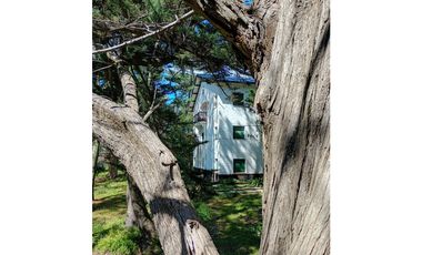 Hotel Playa villa gesell