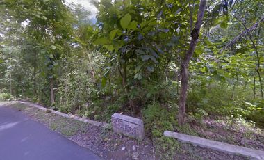 Tanah Dijual Luas 1898 Meter Persegi di Jalan Milir, Panjatan