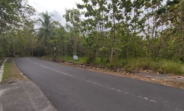 Tanah Dijual Luas 1898 Meter Persegi di Jalan Milir, Panjatan