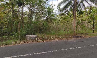 Tanah Dijual Luas 1898 Meter Persegi di Jalan Milir, Panjatan