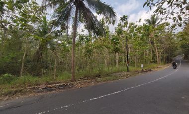 Tanah Dijual Luas 1898 Meter Persegi di Jalan Milir, Panjatan