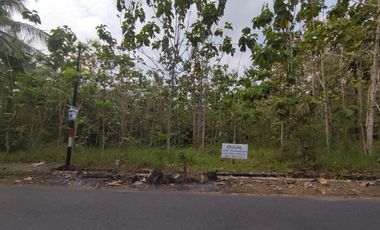 Tanah Dijual Luas 1898 Meter Persegi di Jalan Milir, Panjatan