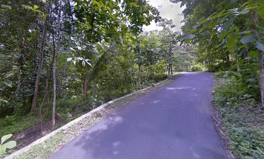 Tanah Dijual Luas 1898 Meter Persegi di Jalan Milir, Panjatan