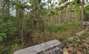 Tanah Dijual Luas 1898 Meter Persegi di Jalan Milir, Panjatan