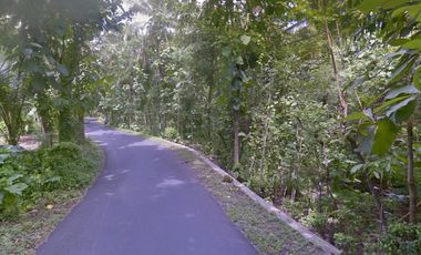 Tanah Dijual Luas 1898 Meter Persegi di Jalan Milir, Panjatan