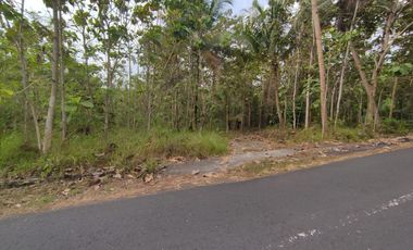 Tanah Dijual Luas 1898 Meter Persegi di Jalan Milir, Panjatan