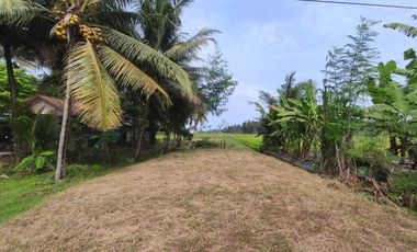 Tanah Pekarangan Pinggir Jalan Raya Wates Purworejo Dekat Bandara YIA
