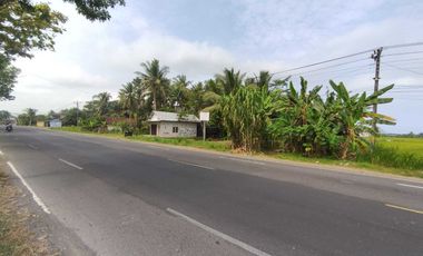 Tanah Pekarangan Pinggir Jalan Raya Wates Purworejo Dekat Bandara YIA