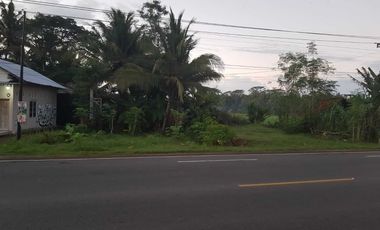 Tanah Pekarangan Pinggir Jalan Raya Wates Purworejo Dekat Bandara YIA