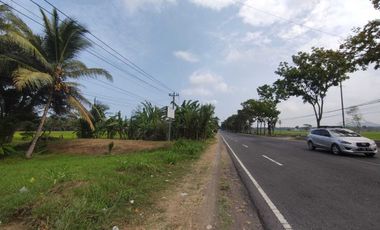Tanah Pekarangan Pinggir Jalan Raya Wates Purworejo Dekat Bandara YIA
