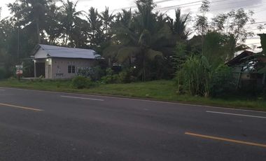 Tanah Pekarangan Pinggir Jalan Raya Wates Purworejo Dekat Bandara YIA