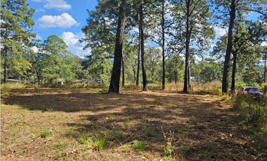 Bonito terreno en zona de bosque de mazamitla, jalisco