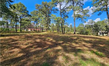 Bonito terreno en zona de bosque de mazamitla, jalisco