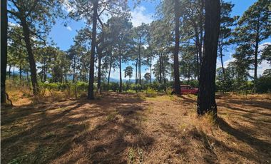 Bonito terreno en zona de bosque de mazamitla, jalisco