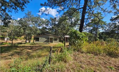 Bonito terreno en zona de bosque de mazamitla, jalisco