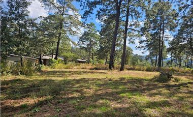 Bonito terreno en zona de bosque de mazamitla, jalisco