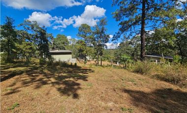 Bonito terreno en zona de bosque de mazamitla, jalisco