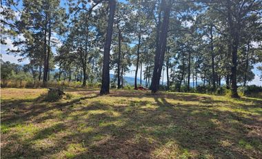 Bonito terreno en zona de bosque de mazamitla, jalisco