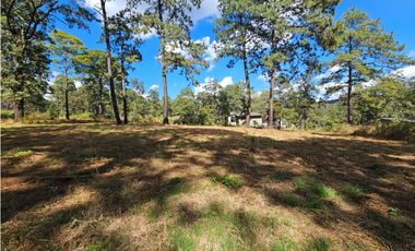 Bonito terreno en zona de bosque de mazamitla, jalisco