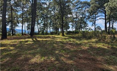 Bonito terreno en zona de bosque de mazamitla, jalisco