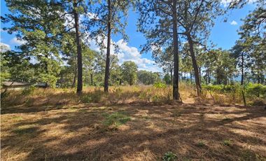 Bonito terreno en zona de bosque de mazamitla, jalisco